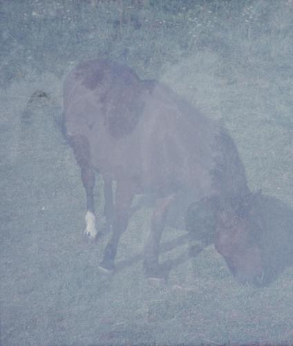 R-maz-Langas-14-is-009-